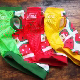 mamehanasoraさんの作品