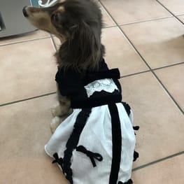 みにくろりんさんの作品