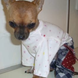 さちママさんの作品