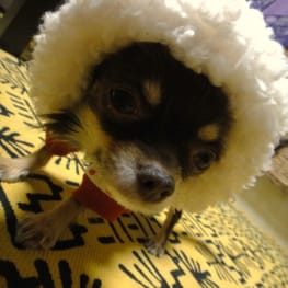 millamillaさんの作品