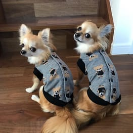 バックオープンベスト / 愛犬のための犬服の作り方・型紙通販