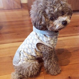 ちあきままさんの作品