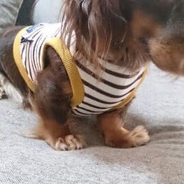 moka-zuさんの作品