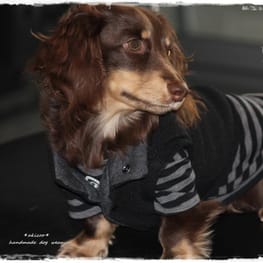 akizoo88さんの作品