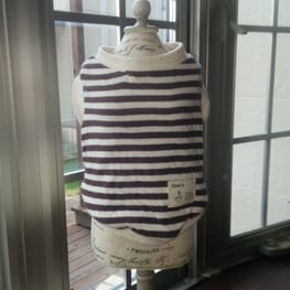 tenderwind+Kさんの作品