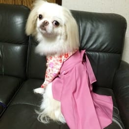 あーにゃんさんの作品