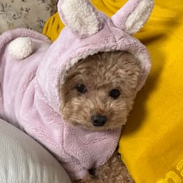 モナリオさんの作品