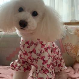 コハルさんの作品