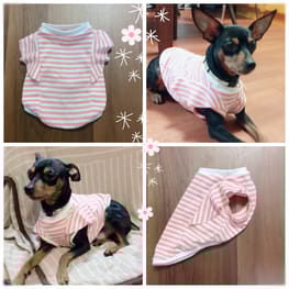 pochorintoさんの作品