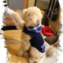 serikichi♪さんの作品