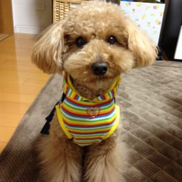 らくすさんの作品