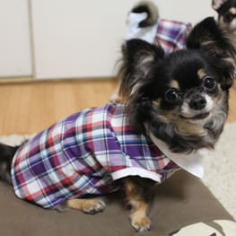 さっちんさんの作品