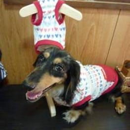 瀬名幸歩さんの作品