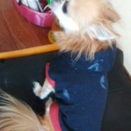 nuttyさんの作品