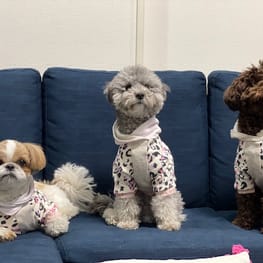 ハンドシェイクさんの作品