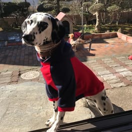 リンさんの作品