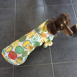 みにくろりんさんの作品