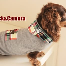 akizoo88さんの作品