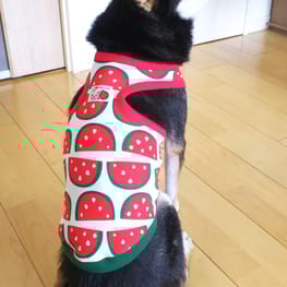 こたさんの作品