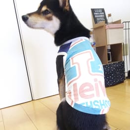 こたさんの作品