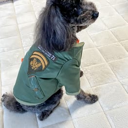 ちゃちゃさんの作品