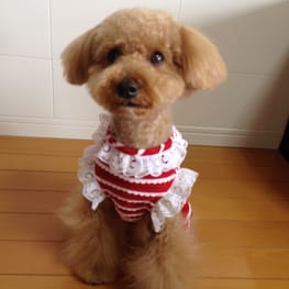 らくすさんの作品