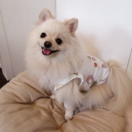 にこママさんの作品