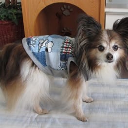 はるさんの作品