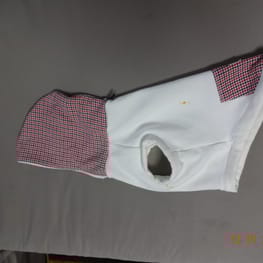 古都さんの作品