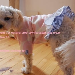 こむぎさんの作品