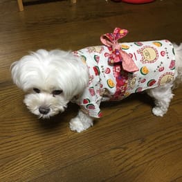 柚子さんの作品