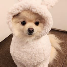 にこママさんの作品