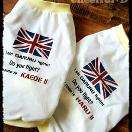 ms2jackさんの作品