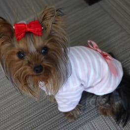 maririnhahaさんの作品