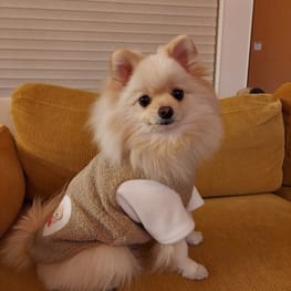 にこママさんの作品