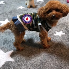 しのさんの作品