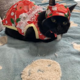 やっちゃんさんの作品