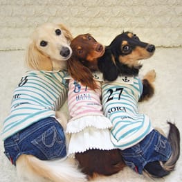 mamehanasoraさんの作品