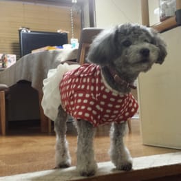 pobalさんの作品