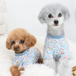 Chloeさんの作品