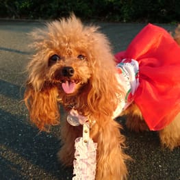 カオリンさんの作品