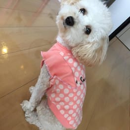 かんれいさんの作品