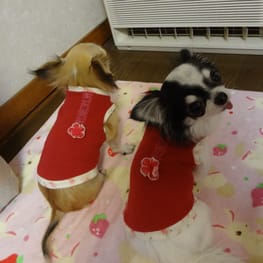 じゅんさんの作品