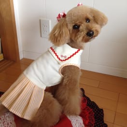 らくすさんの作品