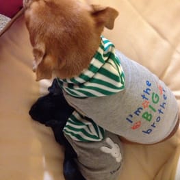 Princessmiyaさんの作品