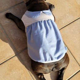 バルーンブラウス/millacra / 愛犬のための犬服の作り方・型紙