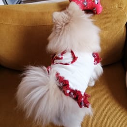 にこママさんの作品