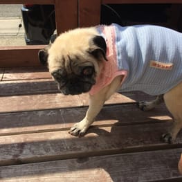 Aliceさんの作品