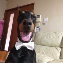 Aliceさんの作品