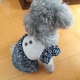 サマードレス/millacra / 愛犬のための犬服、ペット服の型紙通販